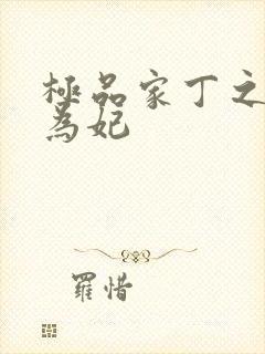 极品家丁之册母为妃