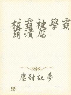 校霸被学霸玩到崩溃腐