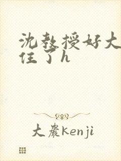 沈教授好大含不住了h