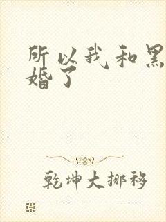 所以我和黑粉结婚了
