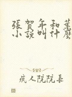 张贺年和叶繁姿小说叫什么名字