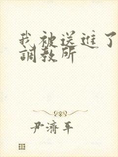 我被送进了私奴调教所