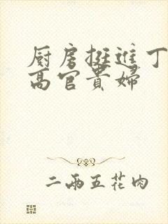 厨房挺进丁字裤高官贵妇