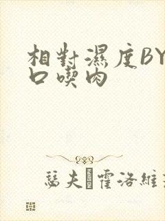 相对湿度BY大口吃肉