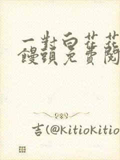 一对白花花的大馒头免费阅读