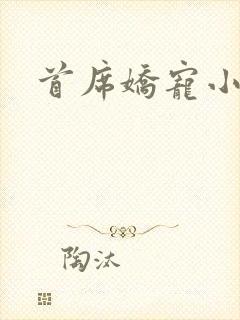 首席娇宠小情人