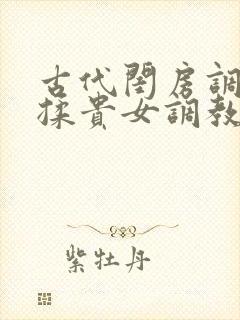 古代闺房调教h揉贵女调教记