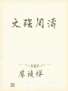 文强周涛