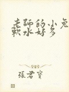 老师的小兔子好软水好多