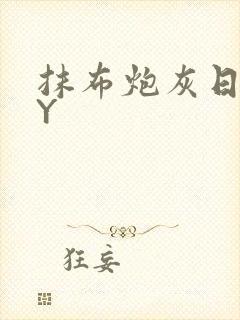 抹布炮灰日记BY