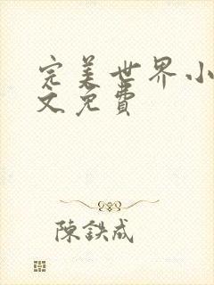 完美世界小说全文免费