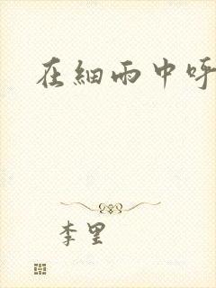 在细雨中呼喊