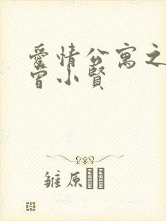 爱情公寓之极品曾小贤