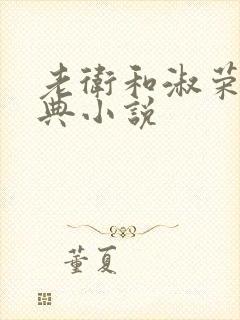 老卫和淑荣的经典小说