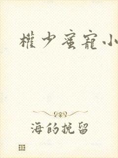 权少蜜宠小娇妻