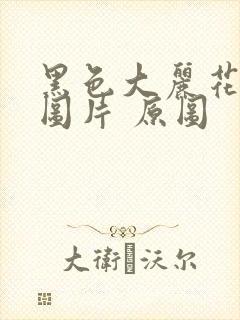 黑色大丽花真实图片 原图