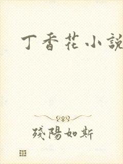 丁香花小说