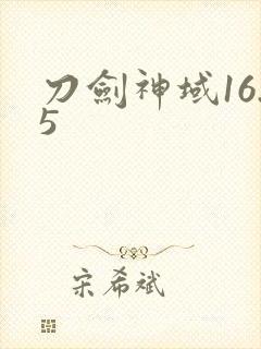 刀剑神域16.5