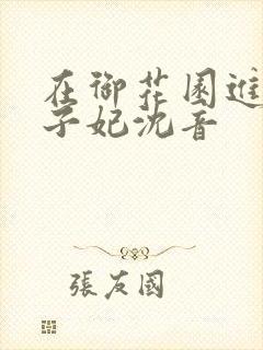 在御花园进入太子妃沈音