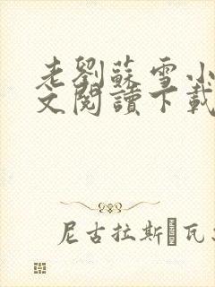 老刘苏雪小说全文阅读下载