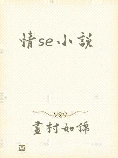 情se小说