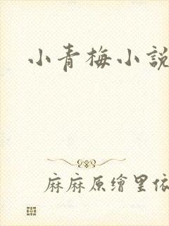 小青梅小说