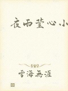 夜雨莹心小说