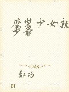 魔装少女就是本少爷