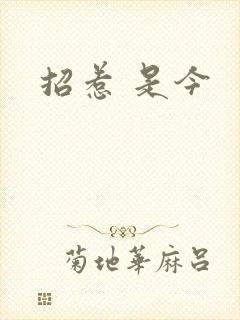 招惹 是今
