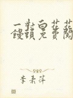 一对白花花的大馒头免费阅读