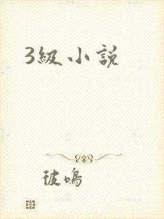 3级小说