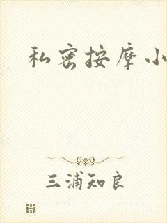 私密按摩小说