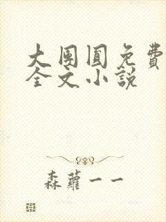 大团圆免费阅读全文小说