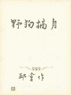 野狗摘月