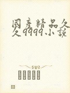 国产精品久久久久9999小说