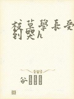 校草学长受被做到哭h