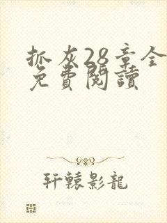 抓灰28章全部免费阅读