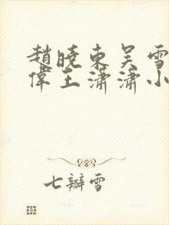 赵晓东吴雪晴郑伟王潇潇小说