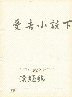 爱去小说下载网