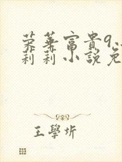 荣华富贵9小王莉莉小说免费阅读