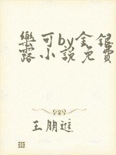 乐可by金银花露小说免费阅读