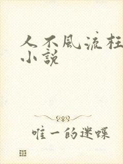 人不风流枉少年小说