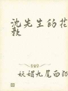 沈先生的花式调教