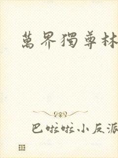 万界独尊林枫封面