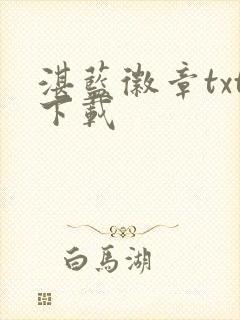 湛蓝徽章txt下载