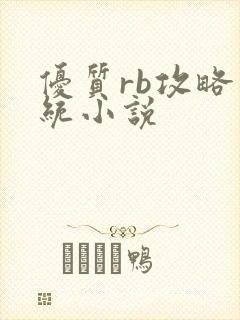 优质rb攻略系统小说