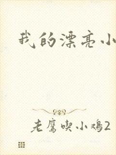 我的漂亮小后妈