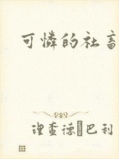 可怜的社畜小说