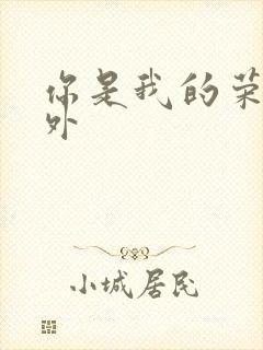 你是我的荣耀番外