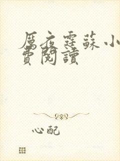 厉夜霆苏小汐免费阅读